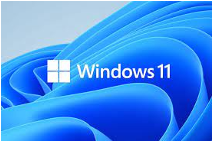 windows 11 logo